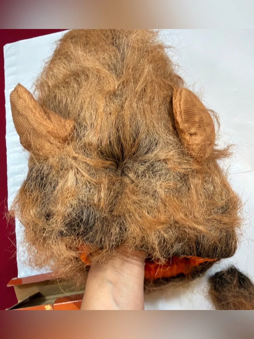 NEW Lion Dog Costume MANE and TAIL SET funny Halloween Cat Safari Jungle, M L